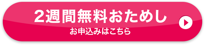 おそうじ3点セット 2週間おためしを始める